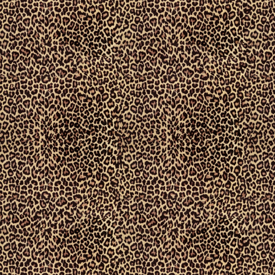 Papel tapiz Cheeta - 250 cm alto x 66 cm ancho | Cubre 1.5 mt2